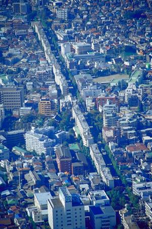 北海道のニセコ不動産の紹介です