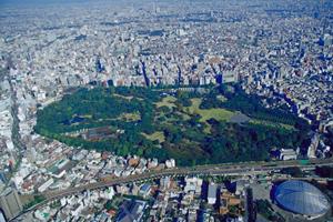中古マンションに置いての活用法