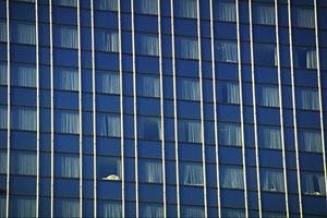 海老名市の不動産賃貸情報について